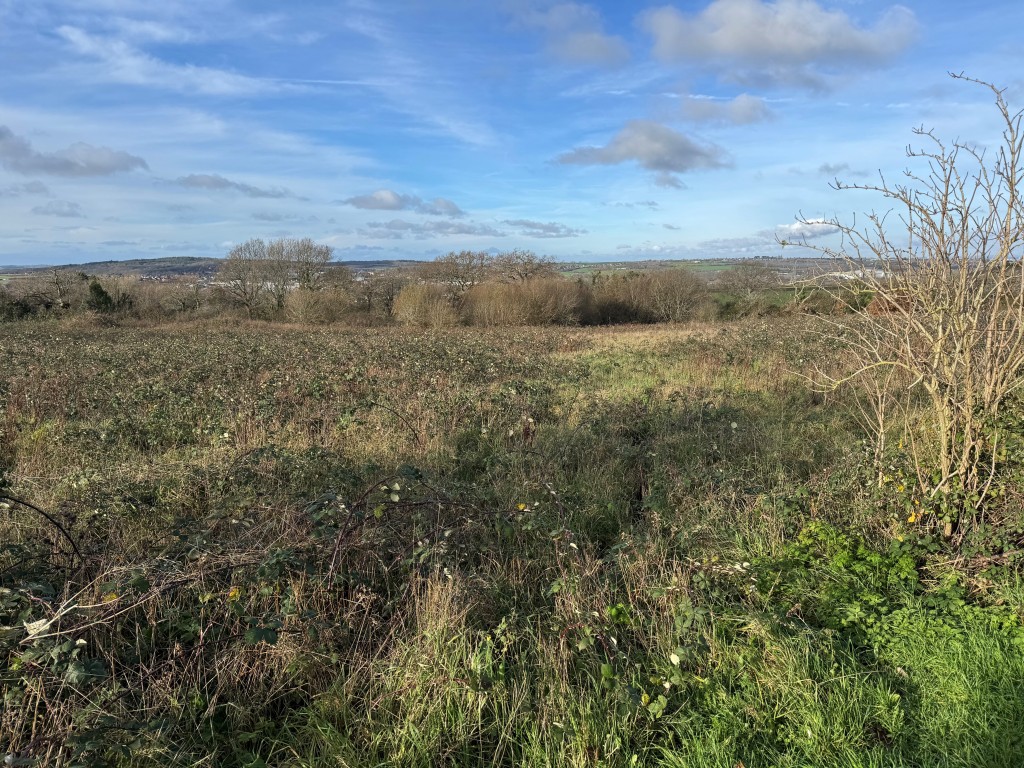 Lot: 87 - CLOSE TO 2.5 ACRES OF LAND WITH POTENTIAL - View of land from access road